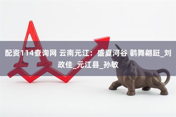 配资114查询网 云南元江：盛夏河谷 鹳舞翩跹_刘政佳_元江县_孙敏